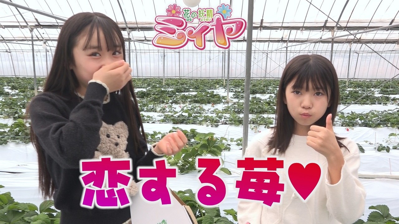 その美味しさに恋する苺、恋みのり♪ 花の妖精たちは大好物のイチゴをほおばり今にもほっぺが落ちそうですよ～♪