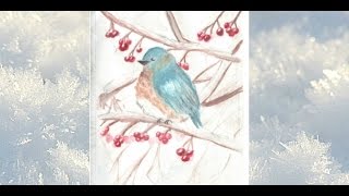 Bluebird speedpaint