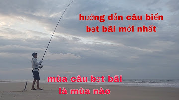 Hướng dẫn cách chọn mùa câu cá biển bạt bãi, những mùa nào phù hợp với từng loại cá khác nhau