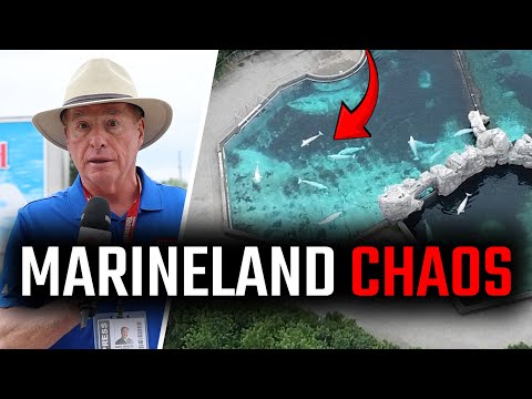 &#39;Everyone loves Marineland&#39;? Not so much these days…