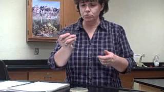 Antimicrobial Drugs Part 2