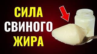 видео: Готовка Со Свиным Салом Каждый День Сделает Это С Вашим Организмом картинка: Готовка Со Свиным Салом Каждый День Сделает Это С Вашим Организмом