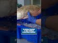 Alabama officials arrested for human trafficking + Florida fishing & sea turtle poaching arrest
