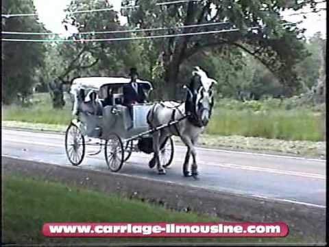 Horse and Carriage -- Wedding Carriage -- Victorian Carriage 3b -- Carriage LimMen's Suitsine Service