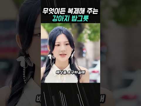 우연히 얻은 강아지 밥그릇이 복제 그릇이라 3천만 달러를 벌었다