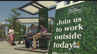 Unique Space Lets Employees 'Be An Outsider At Work'