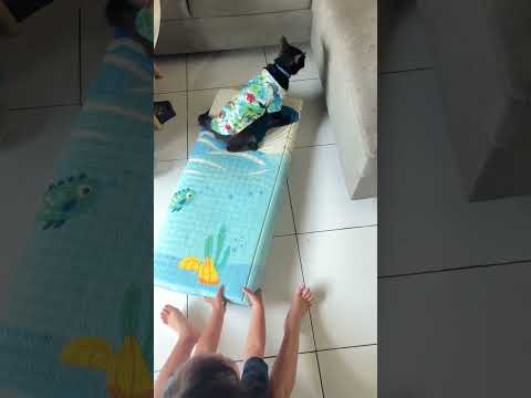 Cute very funny 😅😂😂😅😂 #funny