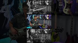 Multiscale Bass Comparison