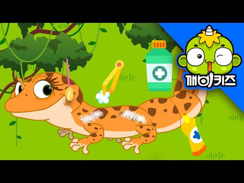 크레스티드게코 도마뱀을 구해줘 | 알랑이 동물구조대 | 깨비키즈 KEBIKIDS