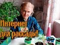 Рассада будет здоровой и крепкой: как и когда использовать Эмистим для рассады