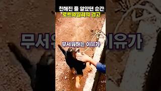 친해진 줄 알았던 순간, 로트와일러의 경고 😭😭
