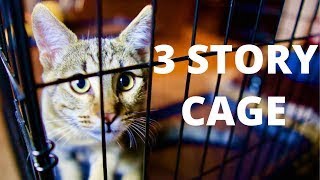 3 STORY Cat and Pet Cage Amazon Review by Meow 10,533 views 4 years ago 5 minutes, 7 seconds