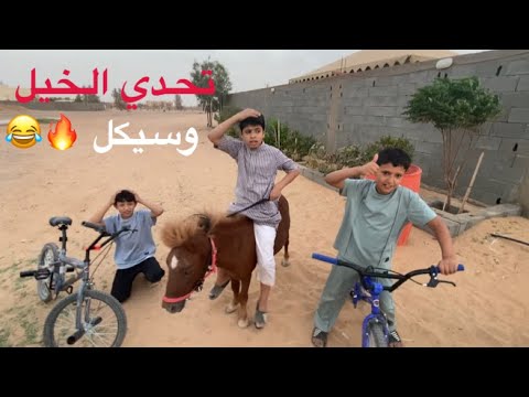 تحدي سباق خيل وسياكل الي يخسر نحلق شعره