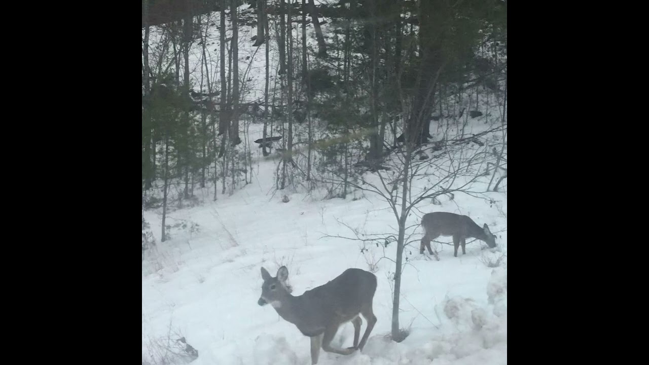 do you think of me? - all i think about is you (full album)