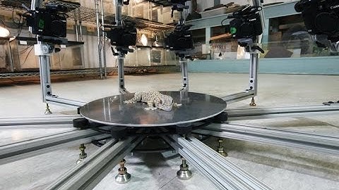 Digital Life aims to make a 3D scan of every animal species on Earth