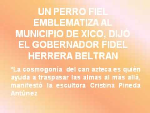 NOTICIAS POLITICA DE VERACRUZ Y MXICO. FIDEL HERRERA BELTRAN