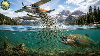 Why America Keeps Dropping Fish From the Sky