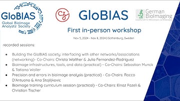 GloBIAS workshop 2024 - overview / Precision and errors in bioimage analysis