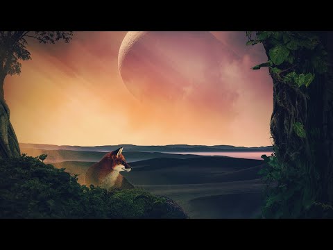 Tropo - Heart