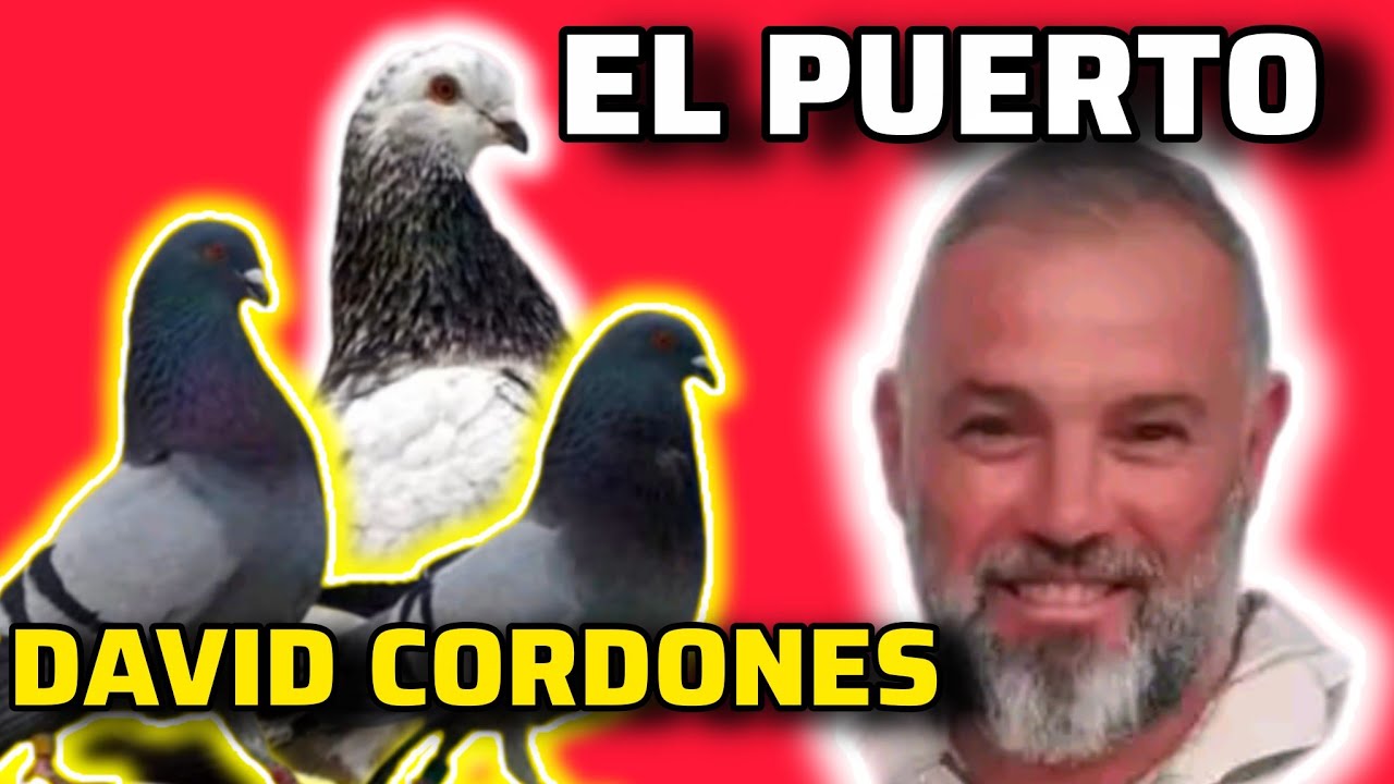 ¡VISITA a DAVID CORDONES! del Puerto de Santa Maria y ESTO es lo que CRIA en su PALOMAR 