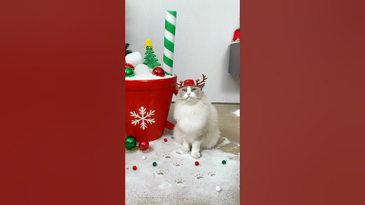 🎃➡️🎄Ending Halloween with a hint of sparkle: Christmas is just around the corner! #thatlittlepuff