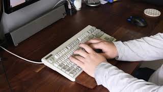 Typing Test - Lubed/ Silenced Realforce 87u