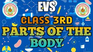 PARTS OF THE BODY || CHAPTER 1 || EVS || CLASS 3 || D M SMART SCHOOL screenshot 3