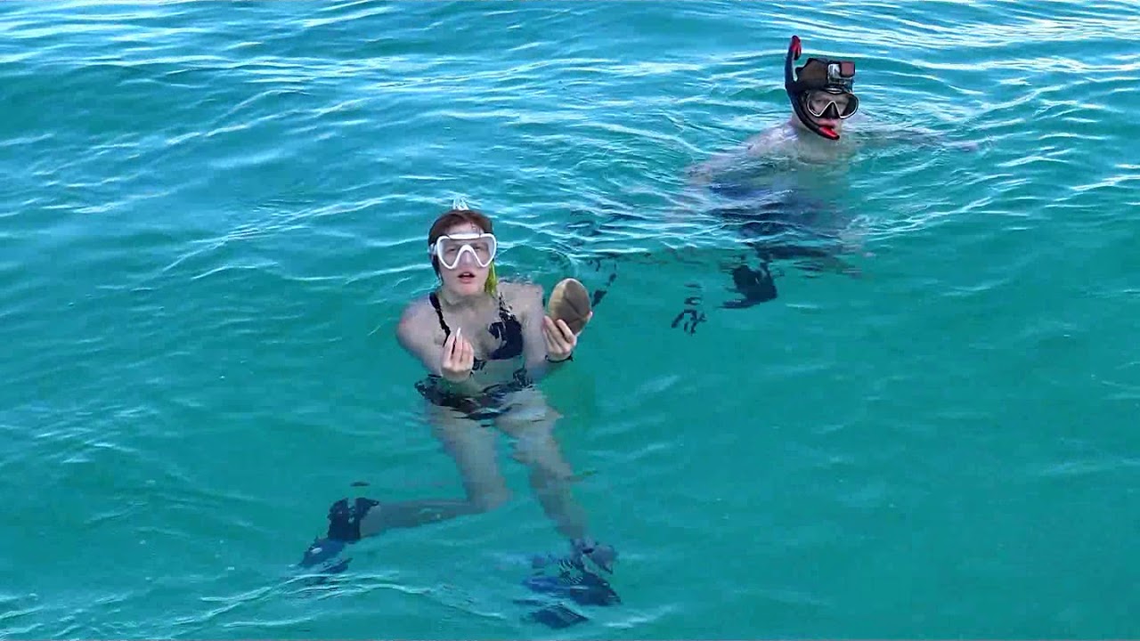 Episode #47  Swimming with the rays and doplphins