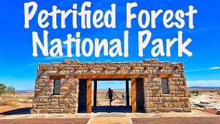 Petrified Forest National Park Route 66 Arizona