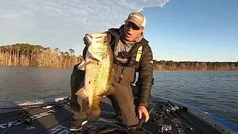 TOP 5 BIGGEST BASS CAUGHT IN TOURNAMENTS! (compilation)