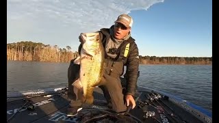 TOP 5 BIGGEST BASS CAUGHT IN TOURNAMENTS! (compilation)