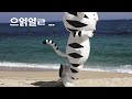 (KOR) 마스코트 이야기 #13 The life of PyeongChang 2018 Mascot