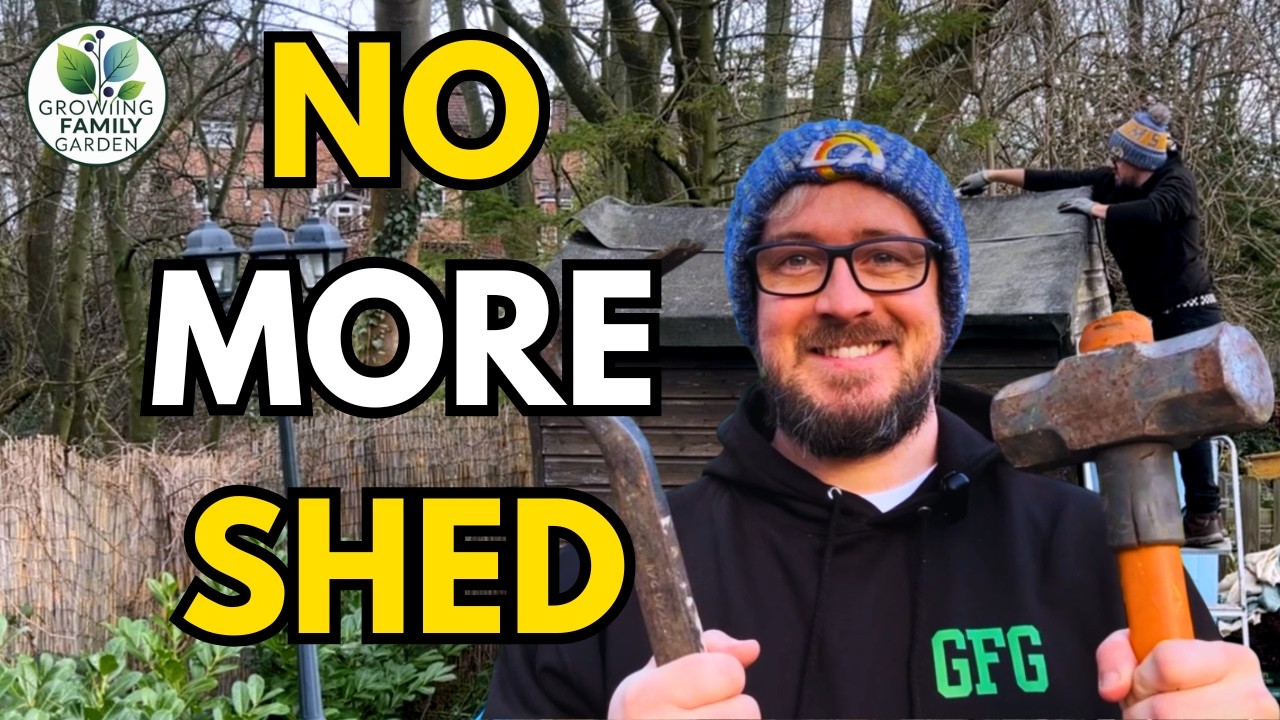 Big Changes in the Garden | Shed Demolition & Reclaimed Wood Build