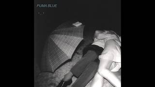 Puma Blue - Want Me chords