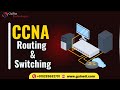 Join New CCNA Batch | Learn Networking Basics, Routing, Switching &amp; Labs