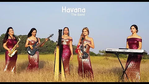 Dhadak | Instrumental Cover | Havana |