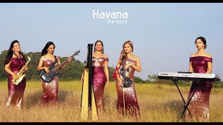 Video thumbnail of "Dhadak | Instrumental Cover | Havana |"