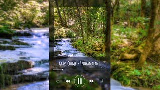 POV: You’re a Critter Going on Forest Adventures  || a playlist (for therians/alterhumans)