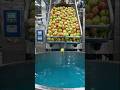 Smooth Pink Guava Juice Making in Factory #food #amazingmachinery #amazingmachinery #cooking