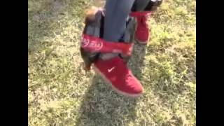 VID 20150325 WA0006