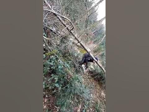 Bûcheron YouTube