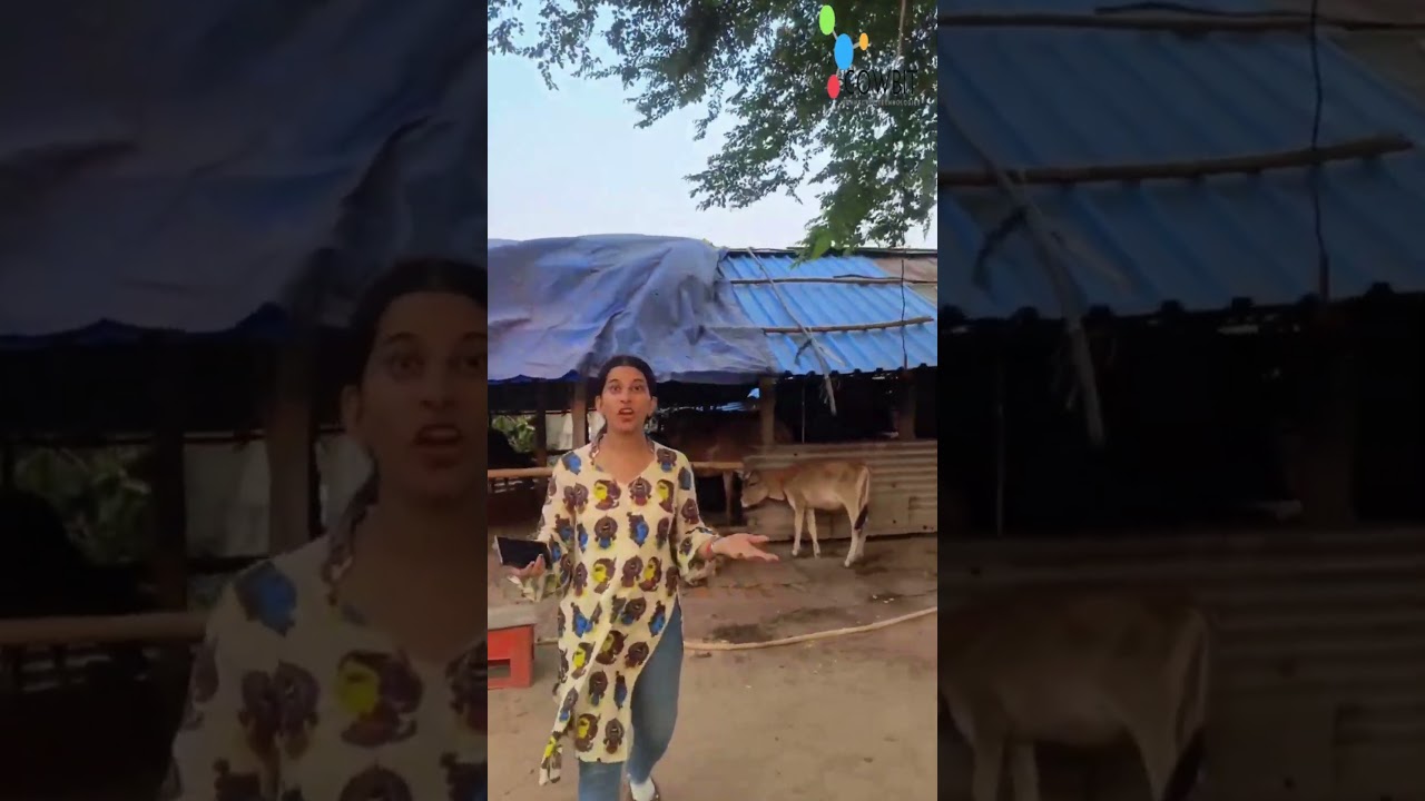 Visit a Nearby Gaushala 🐄🙏 | Experience Peace & Cow Care Up Close.