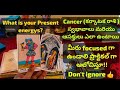tarot|tarot reading in telugu|tarot reading 9493832806 #tarot #tarotcardreading #telugu #viralvideo