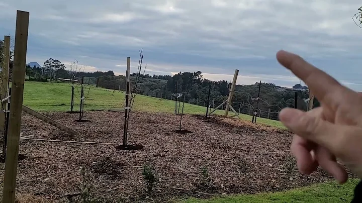 Winter Garden Tour