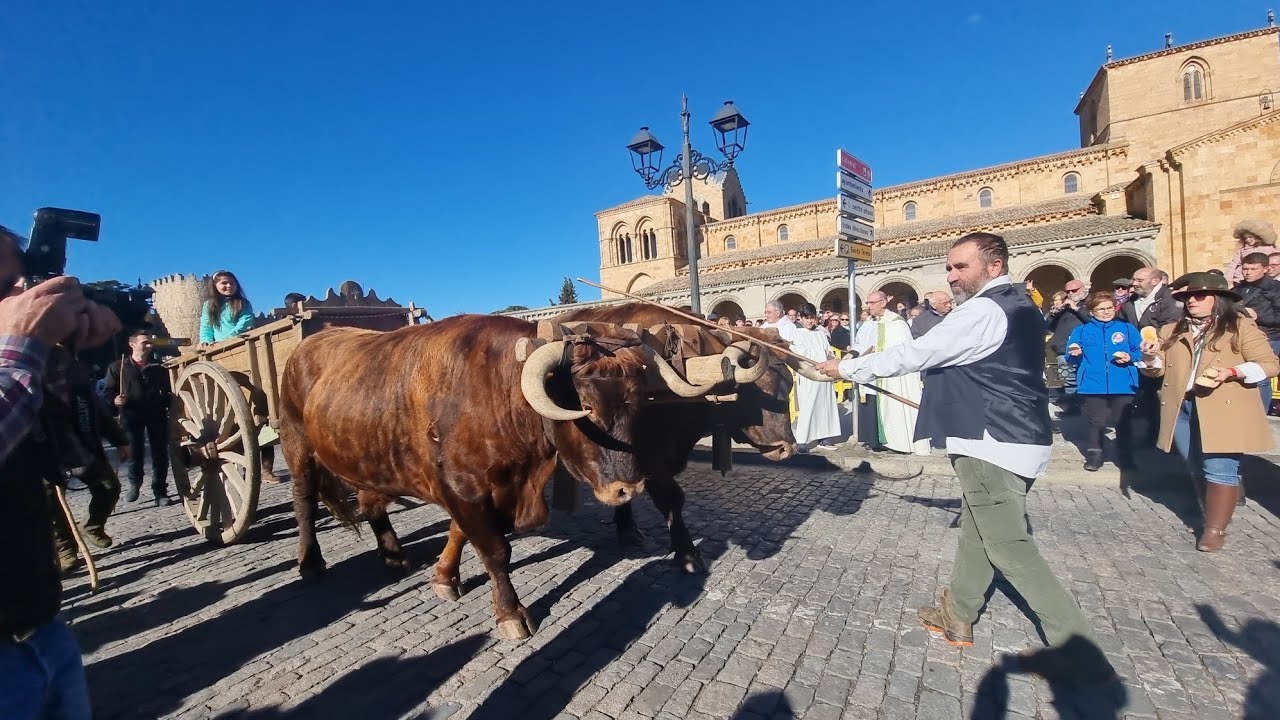Ávila 2024.. Fiesta de San Antón. Bendición de  los animales.
