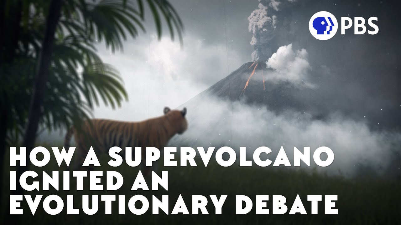 Documentary backdrop image for How a Supervolcano Ignited an Evolutionary Debate (2021)