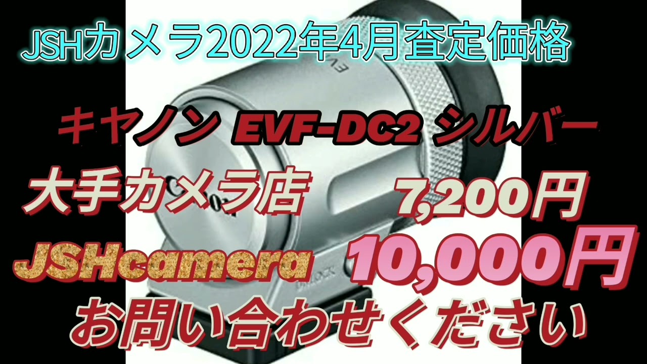 Canon EVF-DC2 シルバー キャノン 電子ビューファインダー 動作OK 