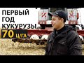 Посеял кукурузу первый год - получил 70 ц/га