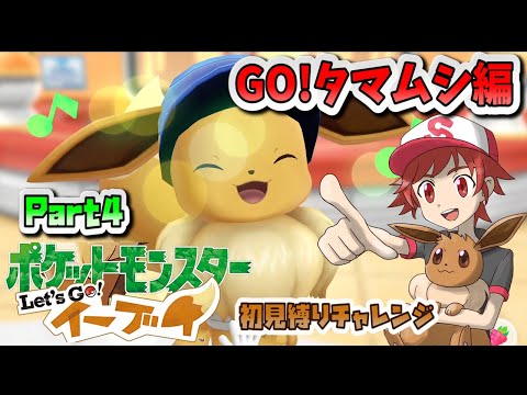 南国 限定 ポケモン Oxp6wax Edns Biz