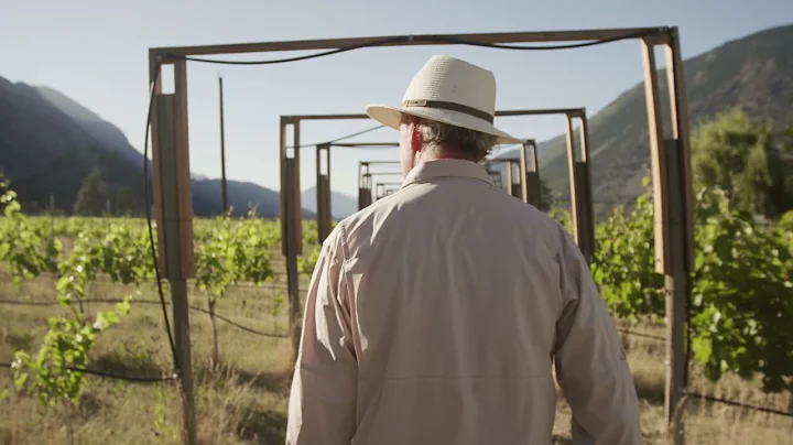 A Year In The Life: BC Wines In Summer – Short Intro - 天天要聞